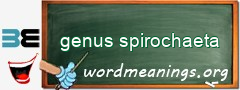 WordMeaning blackboard for genus spirochaeta